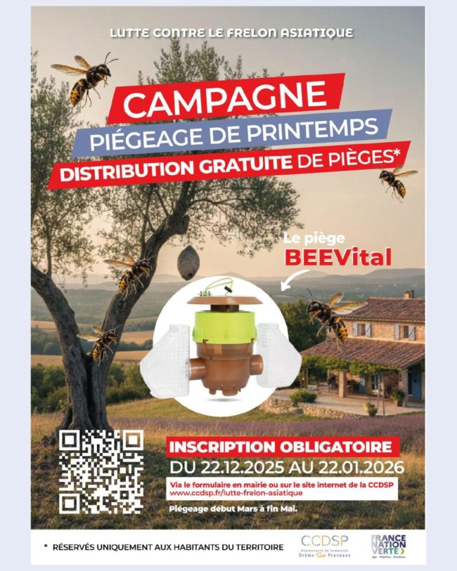 Pièges frelons asiatiques