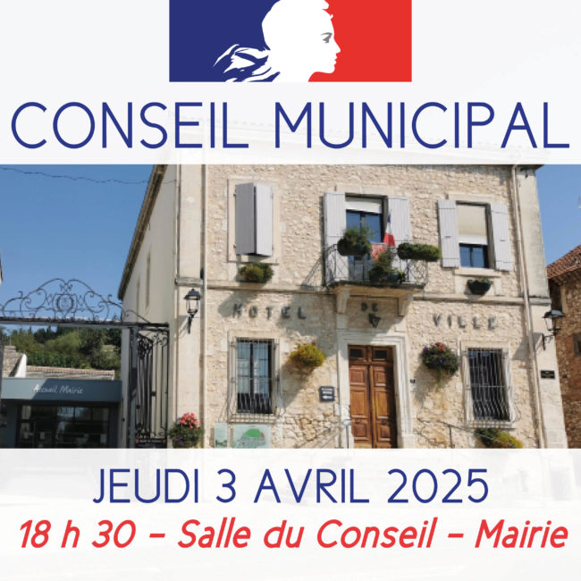 Conseil municipal du 3 avril 2025