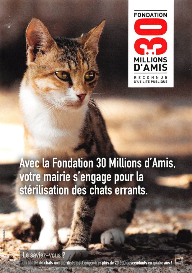 4e CAMPAGNE de STÉRILISATION des CHATS LIBRES