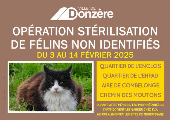 Campagne de stérilisation des chats libres