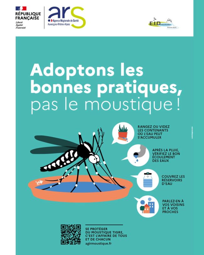 Moustique tigre : luttons contre sa prolifération