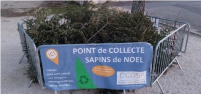 Donnez une seconde vie à votre sapin de Noël !