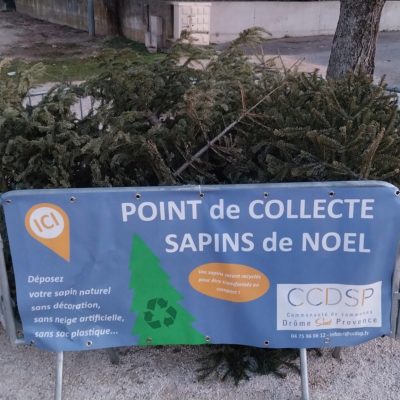 Opération sapins de Noël : donnez-leur une seconde vie !